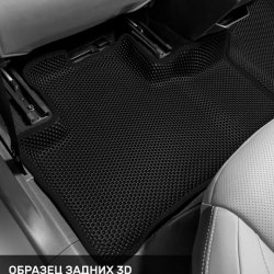 Левый пассажир